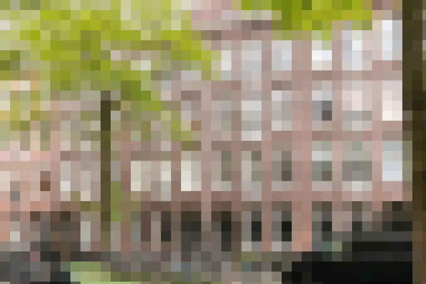 Wilhelminastraat 165 2 in Amsterdam