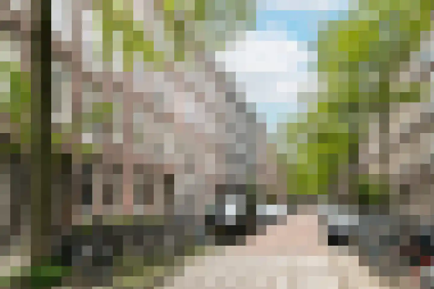 Wilhelminastraat 165 2 Amsterdam thumbnail 24