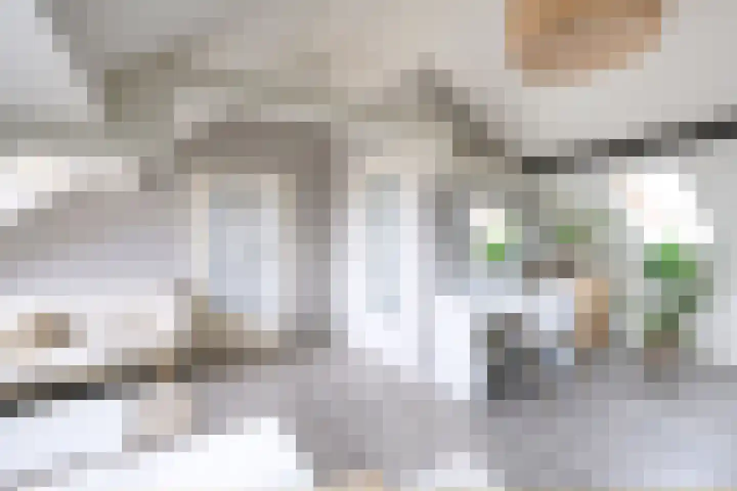 Wilhelminastraat 17 Brummen thumbnail 36