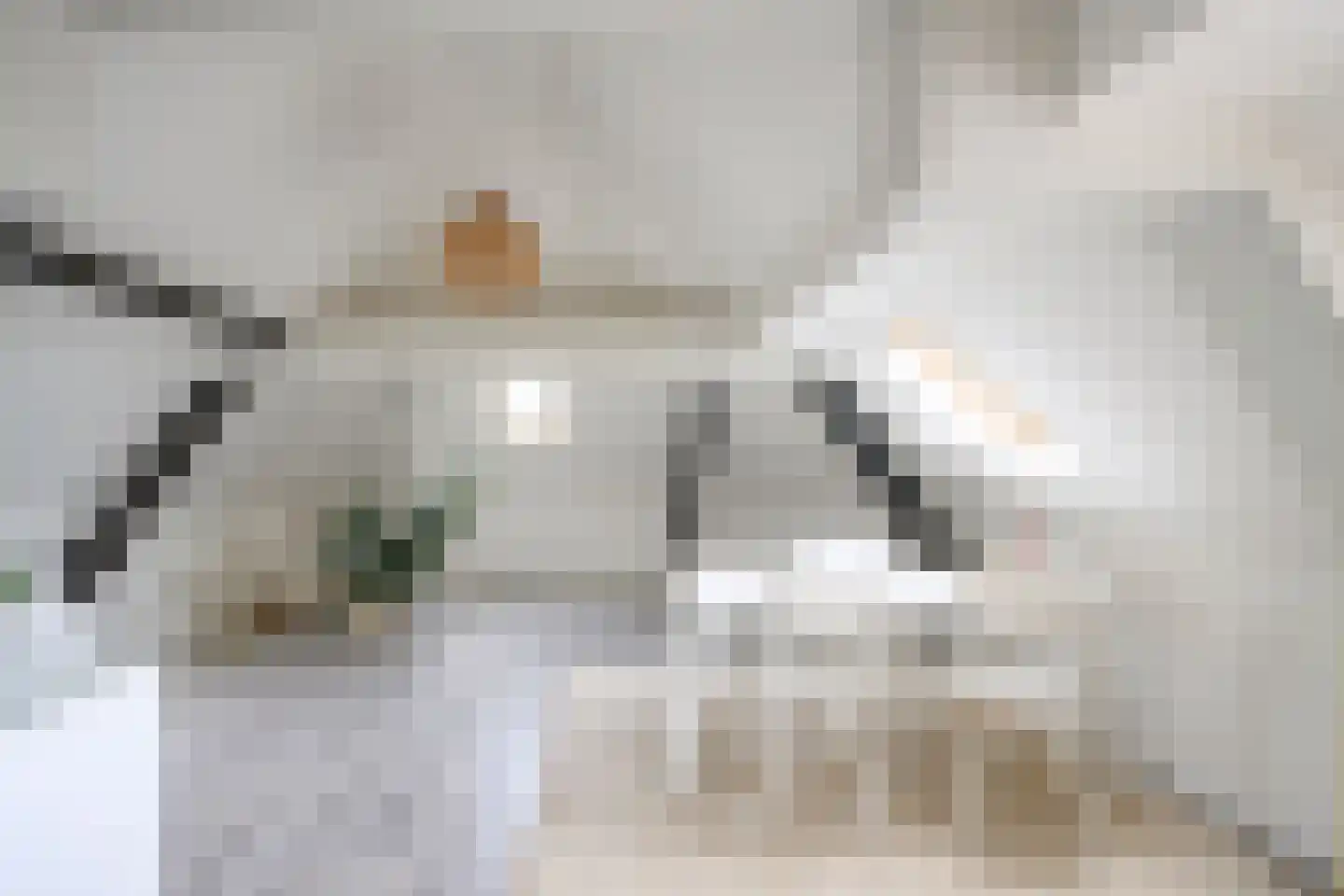 Wilhelminastraat 17 Brummen thumbnail 38