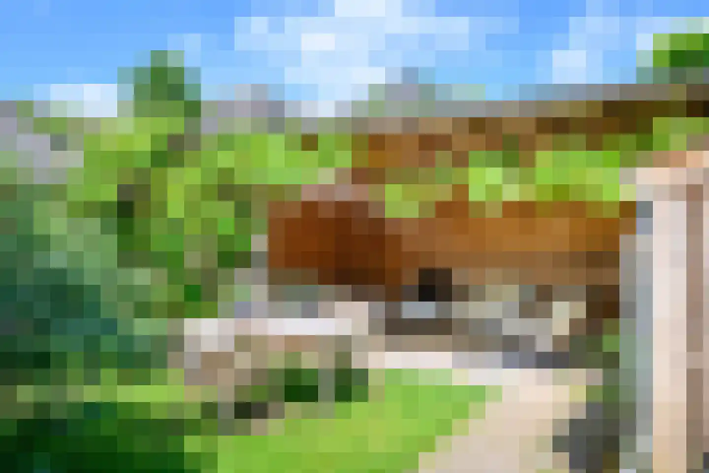 Wilhelminastraat 17 Brummen thumbnail 41