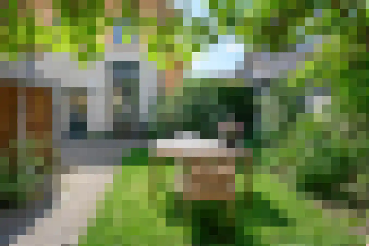 Wilhelminastraat 17 Brummen thumbnail 42