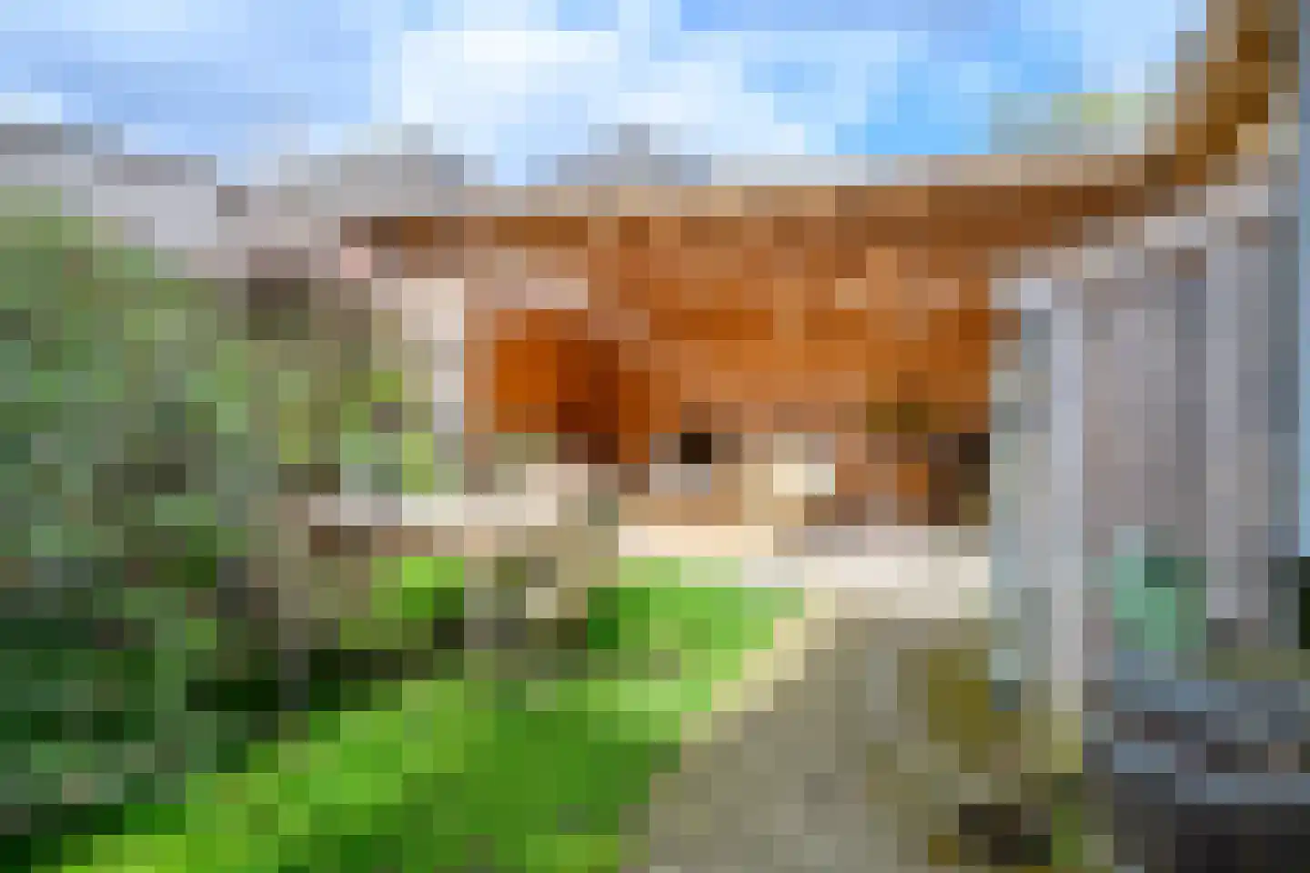 Wilhelminastraat 17 Brummen thumbnail 43