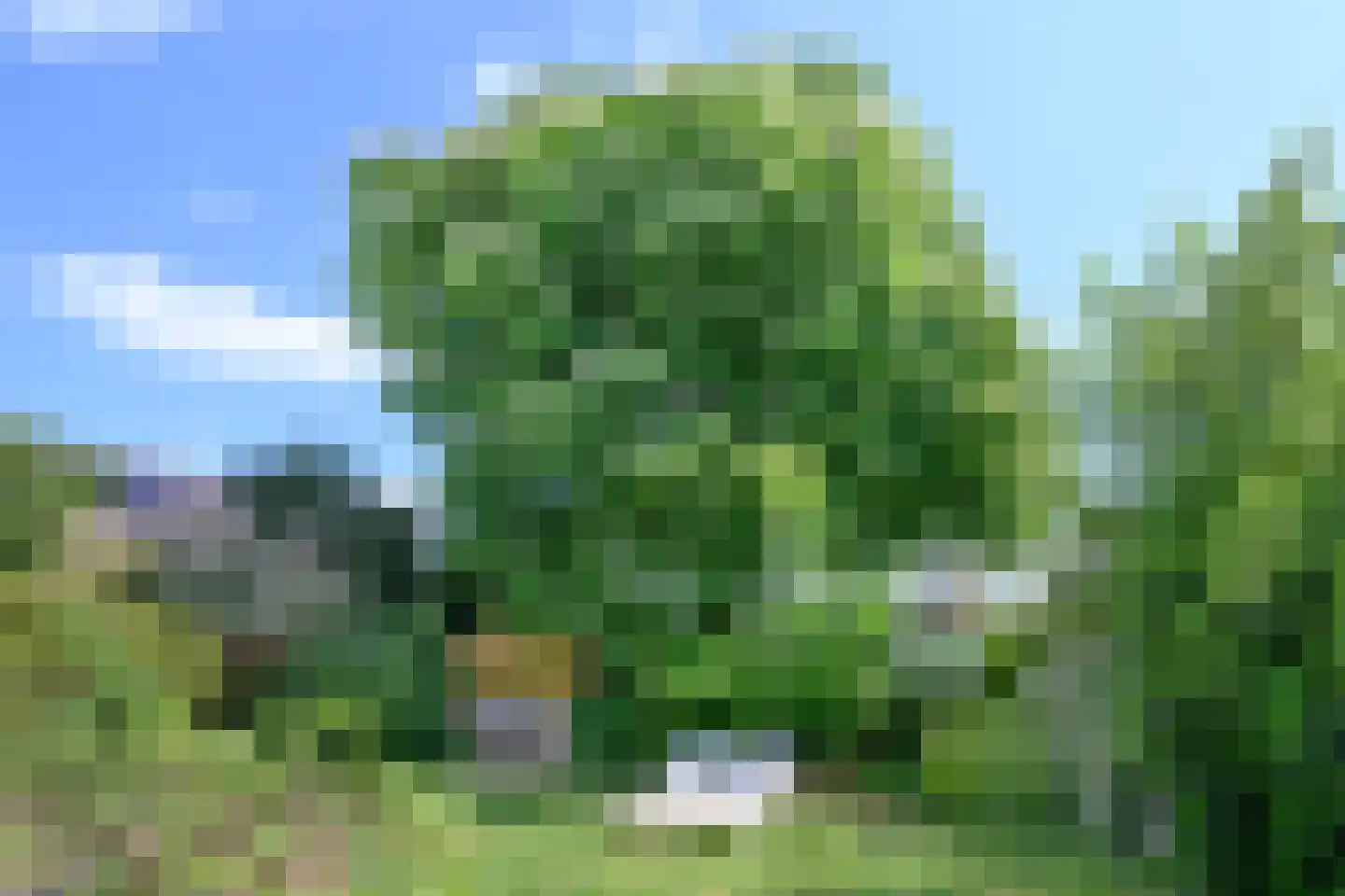 Wilhelminastraat 17 Brummen thumbnail 49