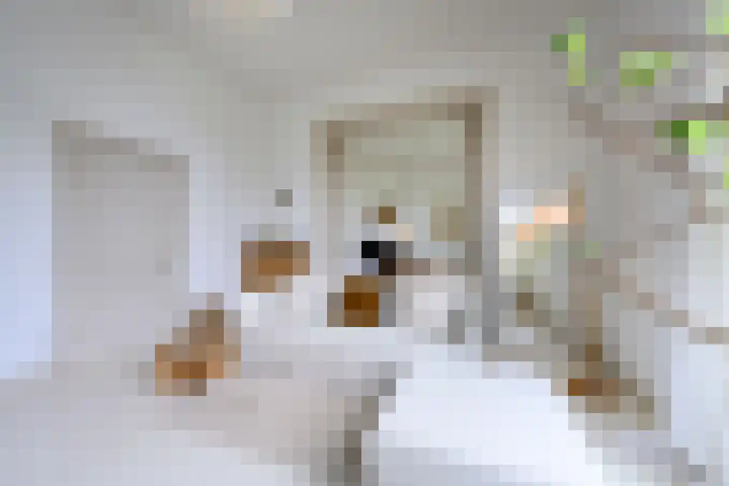 Wilhelminastraat 17 Brummen thumbnail 5