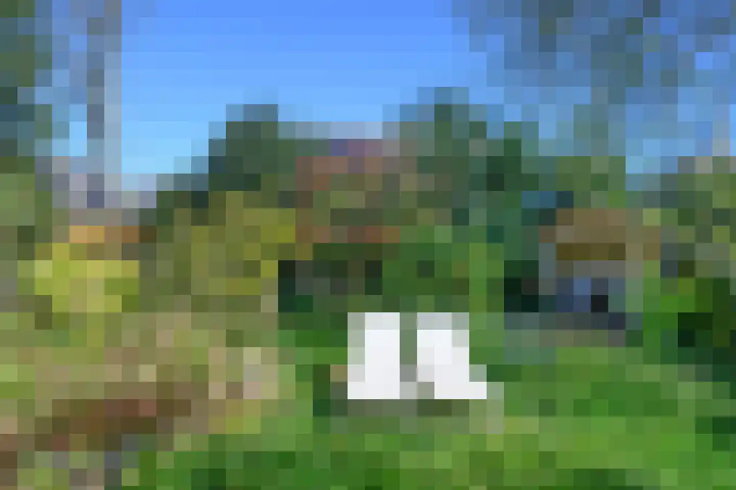 Wilhelminastraat 17 Brummen thumbnail 52