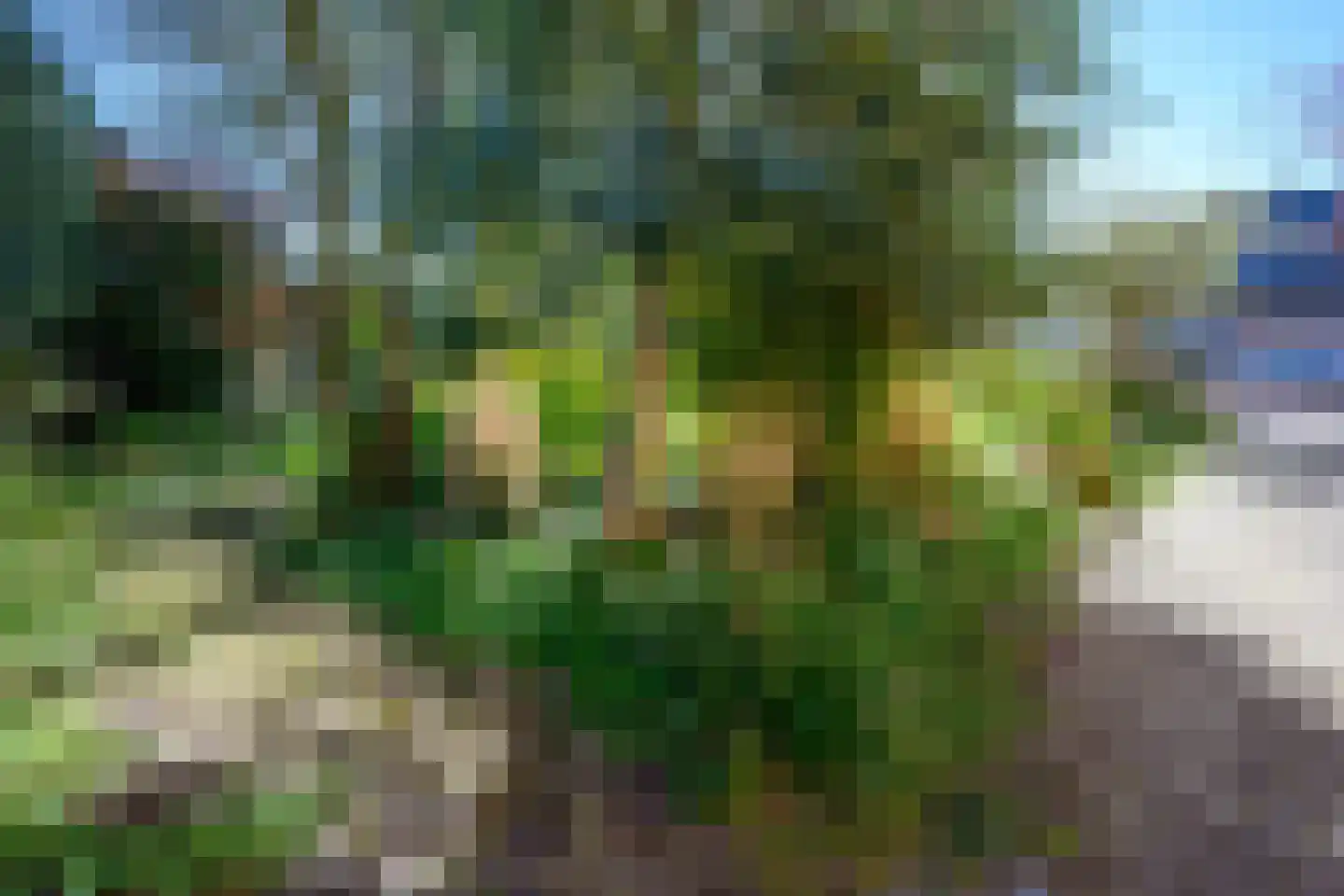 Wilhelminastraat 17 Brummen thumbnail 54