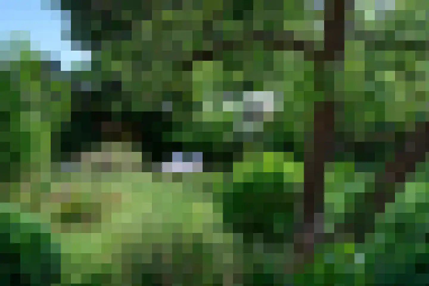 Wilhelminastraat 17 Brummen thumbnail 68