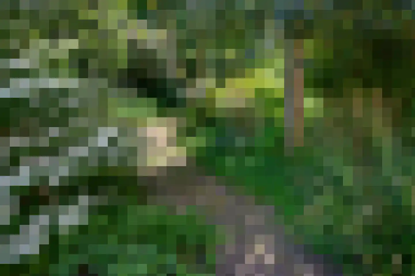 Wilhelminastraat 17 Brummen thumbnail 72