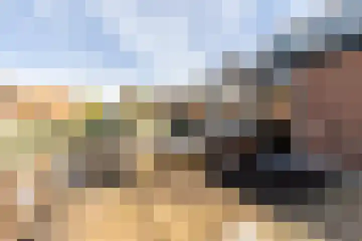 Wilhelminastraat 17 Capelle aan den IJssel thumbnail 17