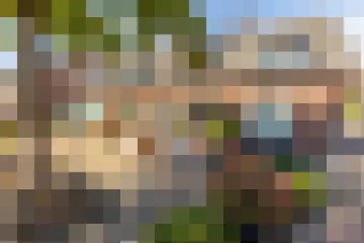 Wilhelminastraat 17 Capelle aan den IJssel thumbnail 33