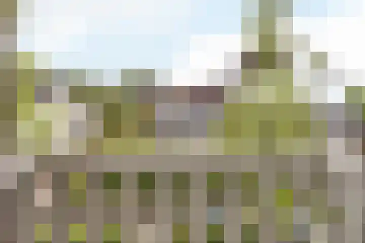 Wilhelminastraat 17 Epen thumbnail 21