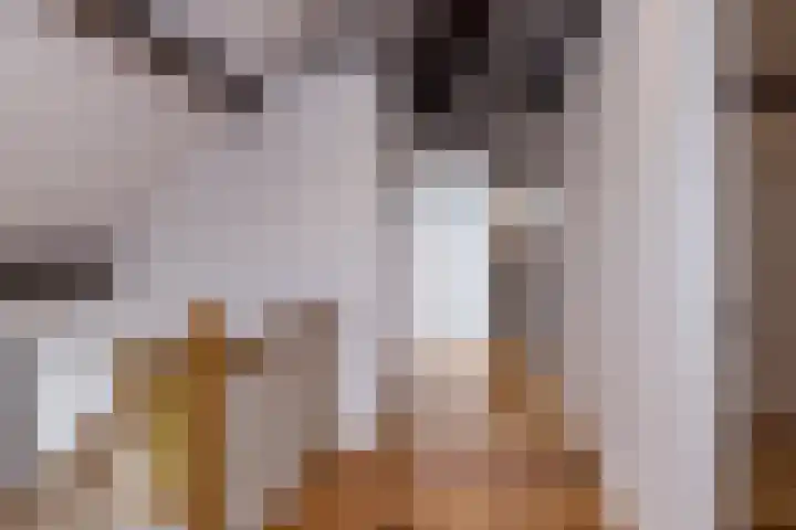 Wilhelminastraat 17 Epen thumbnail 31