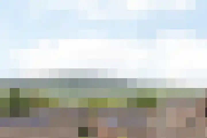 Wilhelminastraat 17 Epen thumbnail 39