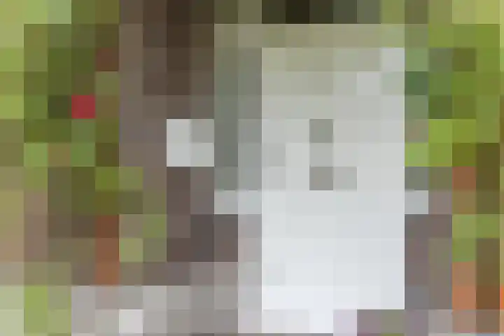 Wilhelminastraat 17 Epen thumbnail 4