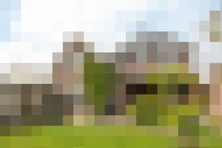 Wilhelminastraat 17 Epen thumbnail 43