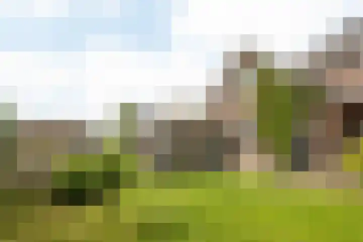 Wilhelminastraat 17 Epen thumbnail 44