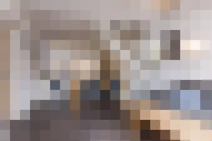 Wilhelminastraat 17 Epen thumbnail 47