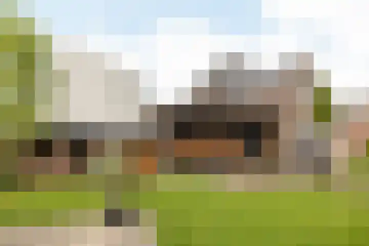 Wilhelminastraat 17 Epen thumbnail 59