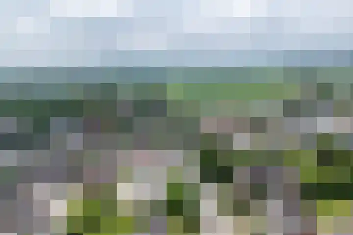 Wilhelminastraat 17 Epen thumbnail 64