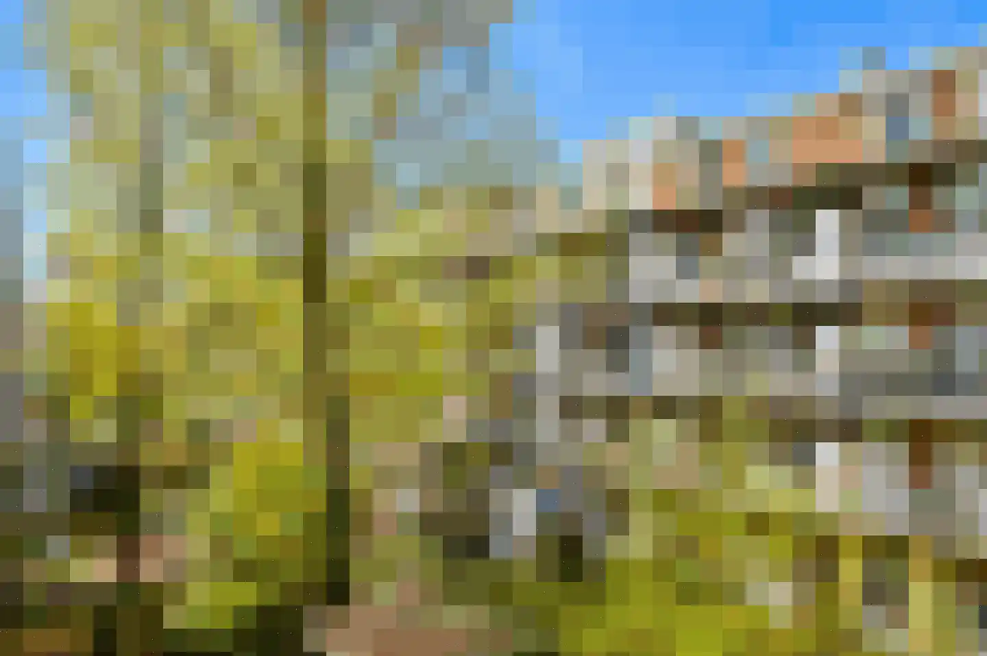 Wilhelminastraat 18 3 Amsterdam thumbnail 23