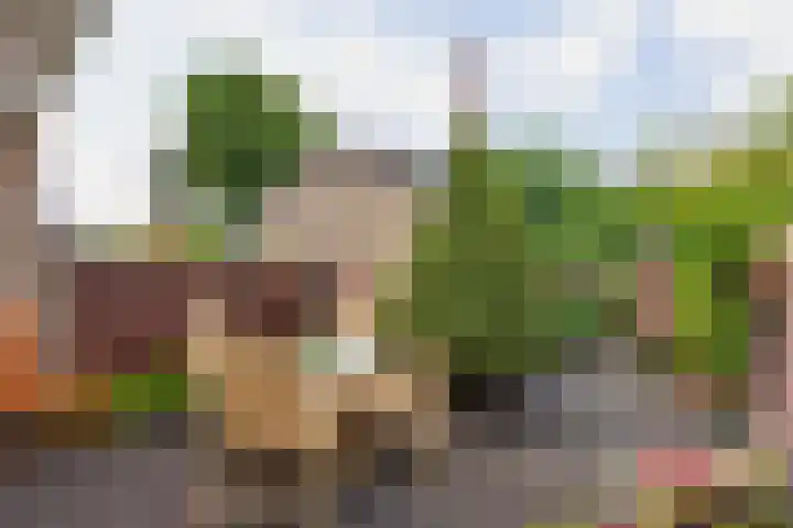 Wilhelminastraat 18 Halfweg thumbnail 15