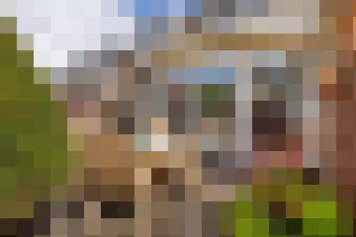 Wilhelminastraat 18 Halfweg thumbnail 16