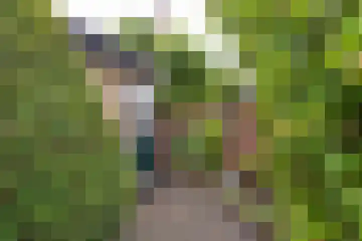 Wilhelminastraat 18 Halfweg thumbnail 17