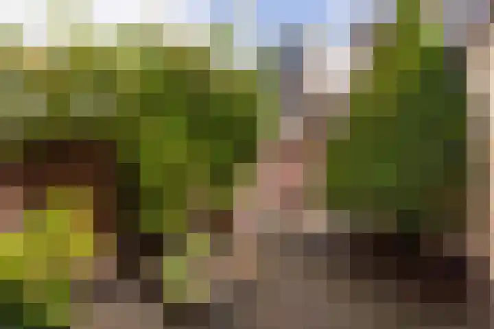 Wilhelminastraat 18 Halfweg thumbnail 18