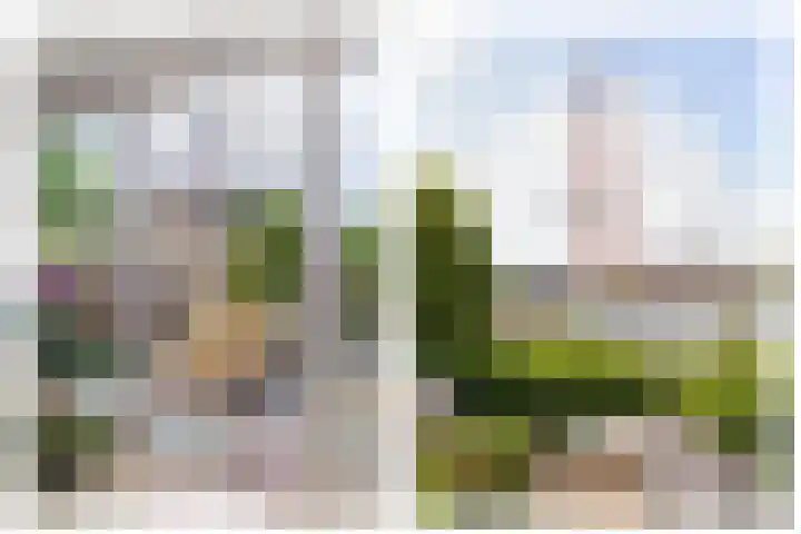 Wilhelminastraat 18 Halfweg thumbnail 19