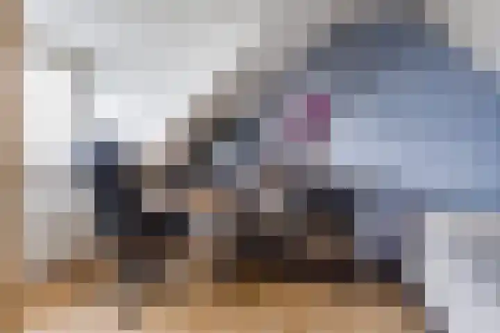 Wilhelminastraat 18 Halfweg thumbnail 26