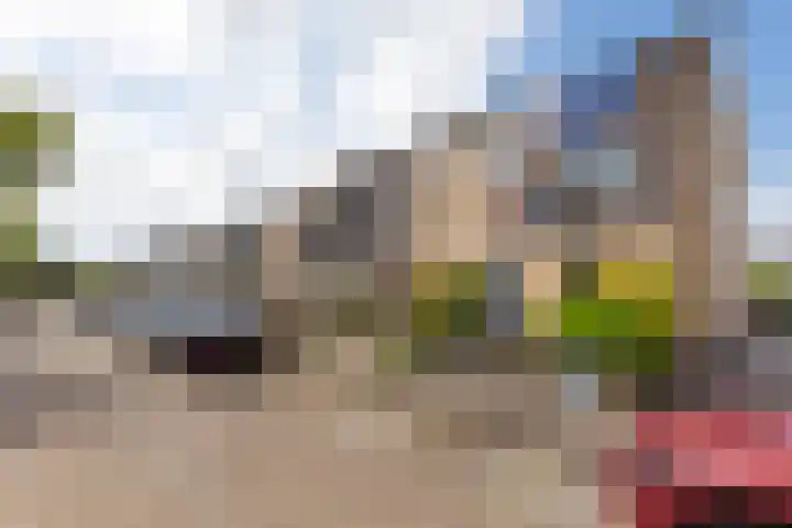 Wilhelminastraat 18 Halfweg thumbnail 28