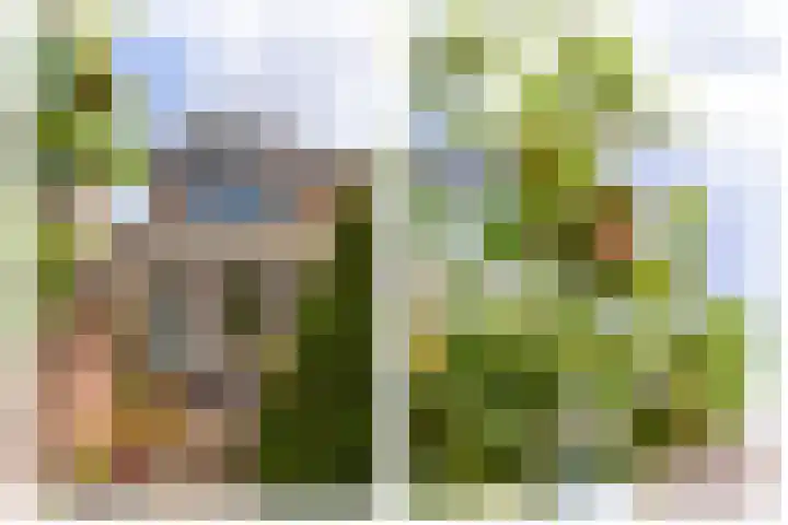 Wilhelminastraat 18 Halfweg thumbnail 4