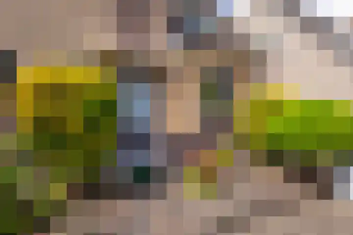 Wilhelminastraat 18 Halfweg thumbnail 5