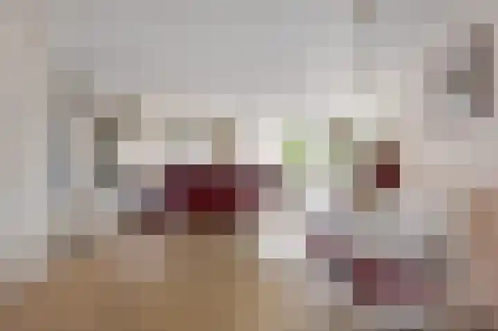 Wilhelminastraat 18 Halfweg thumbnail 7