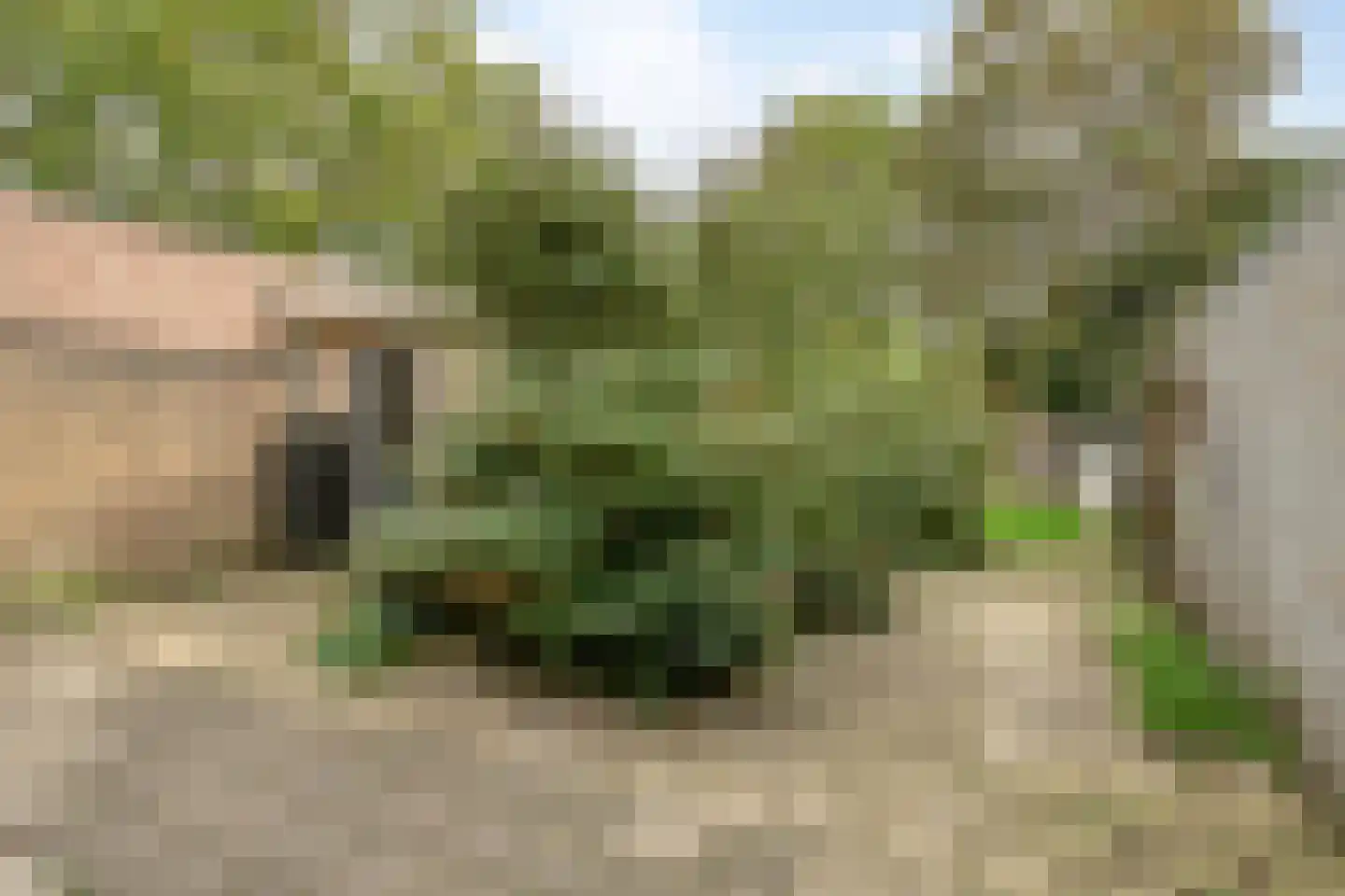 Wilhelminastraat 18 Heeswijk-Dinther thumbnail 29