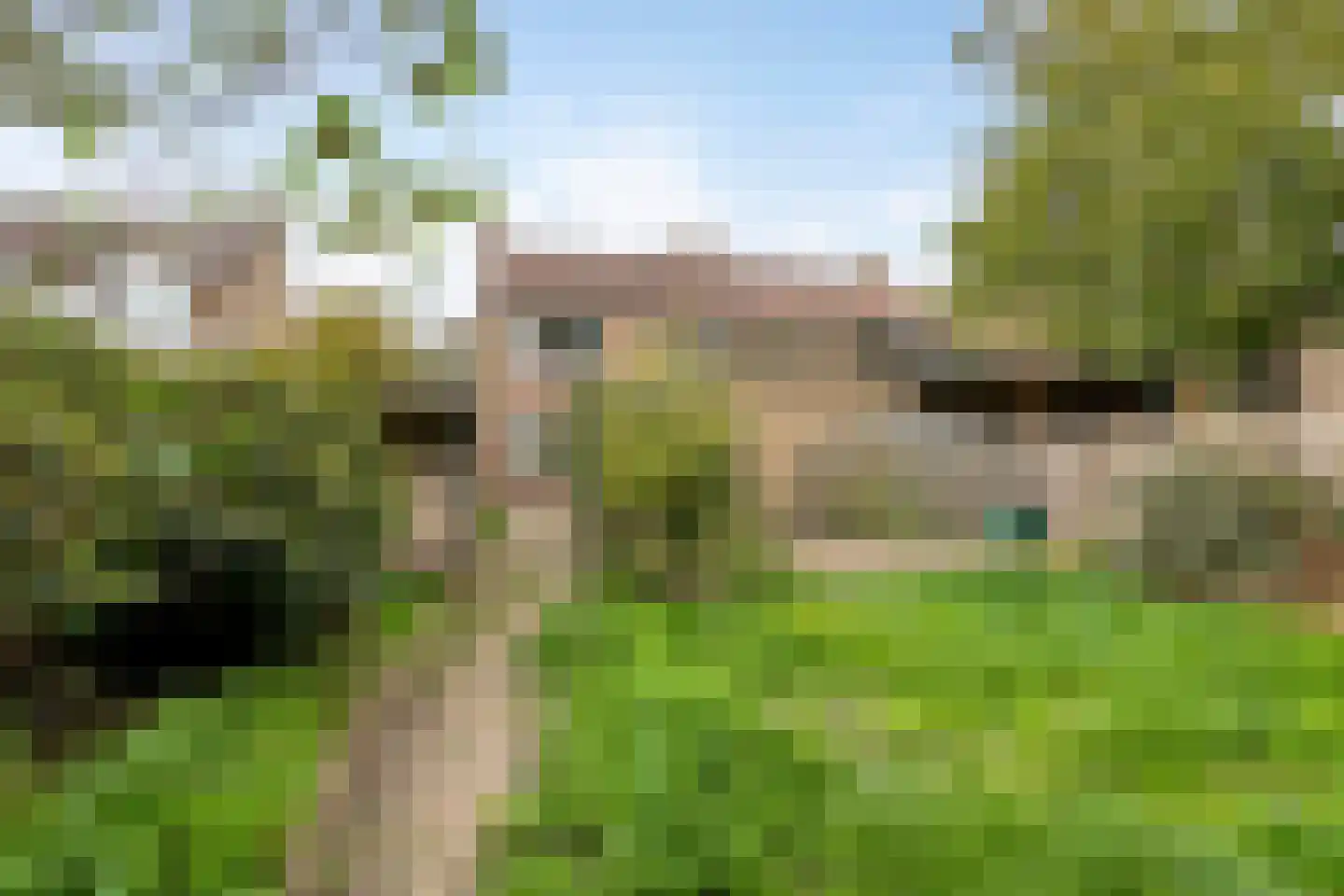 Wilhelminastraat 18 Heeswijk-Dinther thumbnail 31