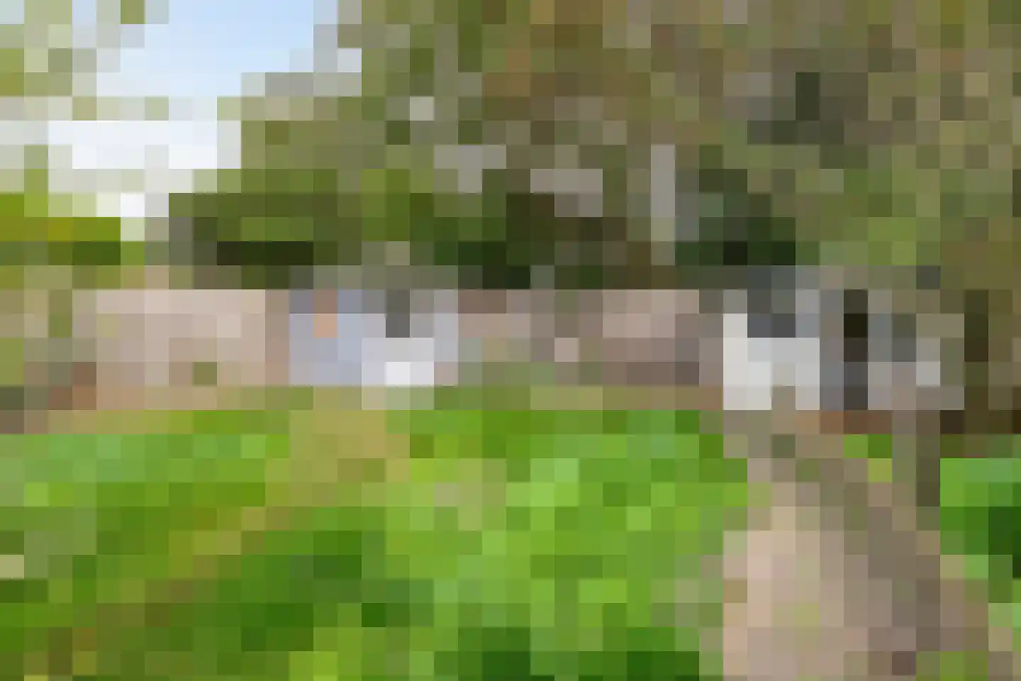 Wilhelminastraat 18 Heeswijk-Dinther thumbnail 33
