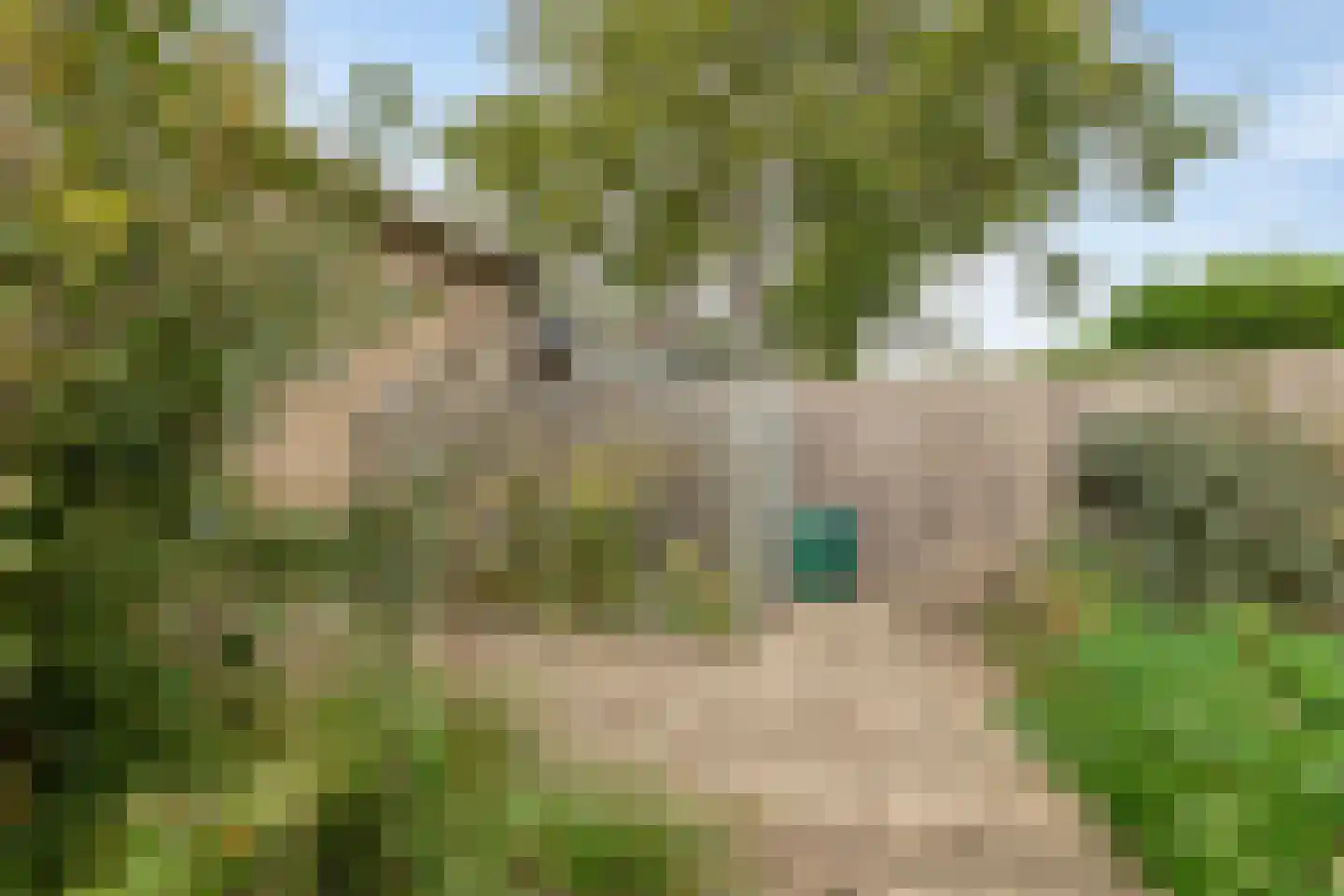 Wilhelminastraat 18 Heeswijk-Dinther thumbnail 34