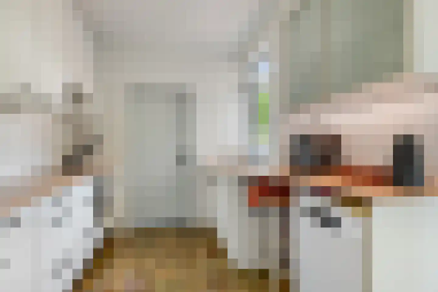 Wilhelminastraat 18 Huissen thumbnail 13