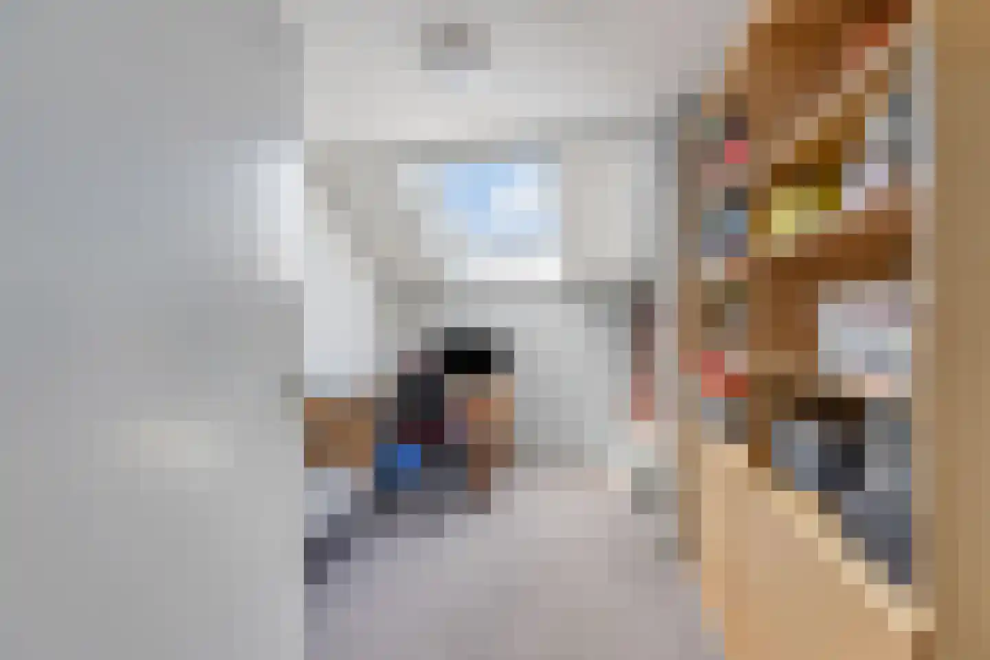 Wilhelminastraat 18 Huissen thumbnail 22