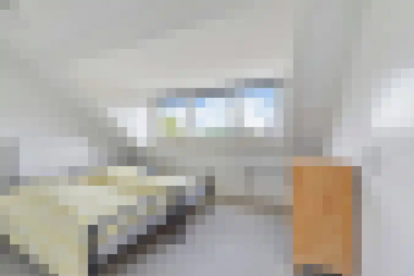 Wilhelminastraat 18 Huissen thumbnail 30
