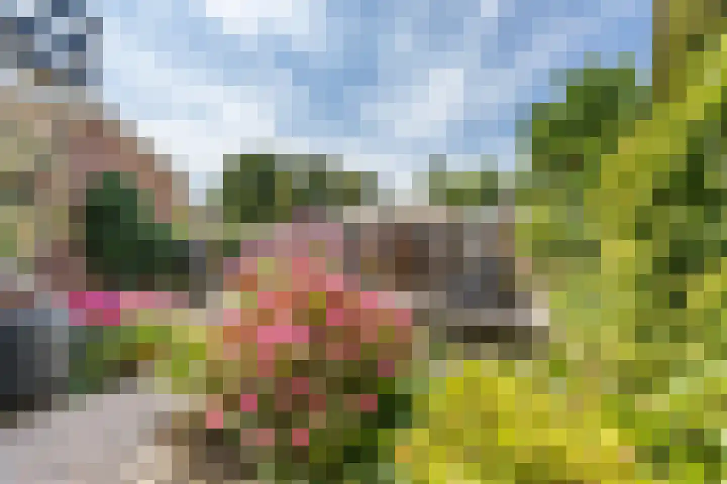 Wilhelminastraat 18 Huissen thumbnail 34