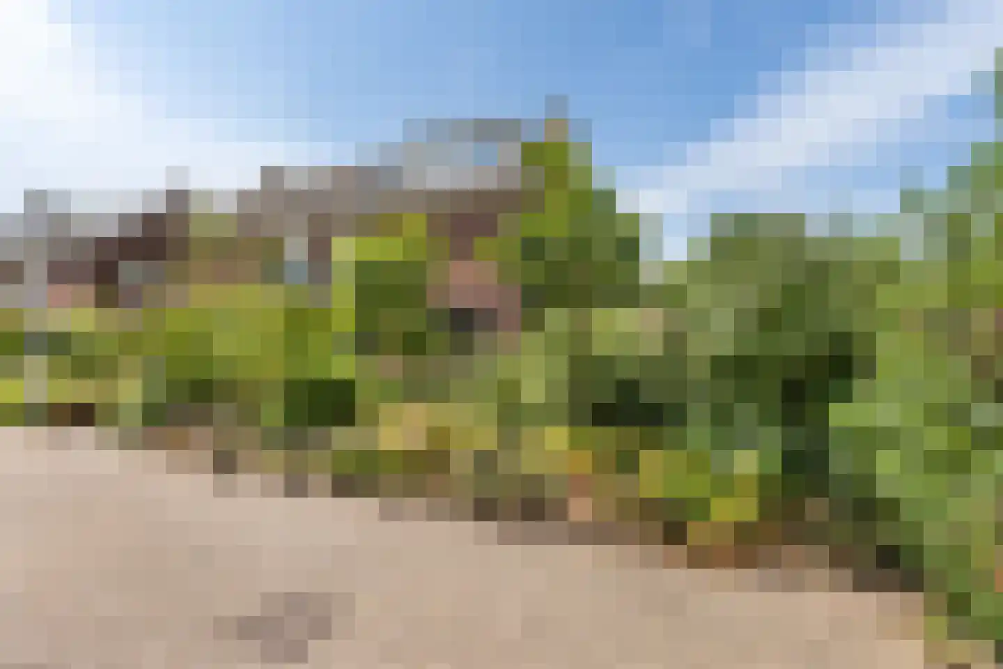Wilhelminastraat 18 Huissen thumbnail 36