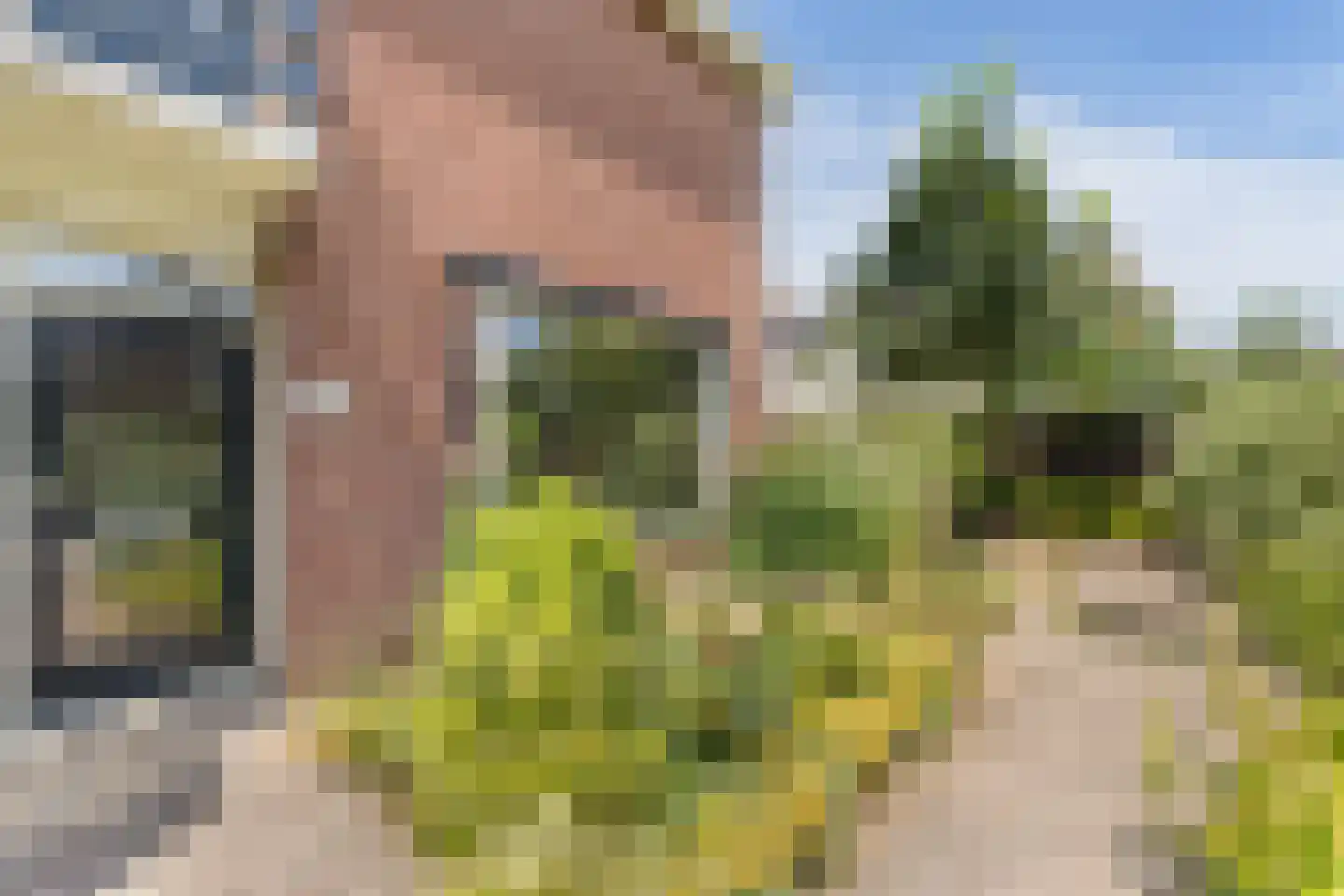 Wilhelminastraat 18 Huissen thumbnail 37