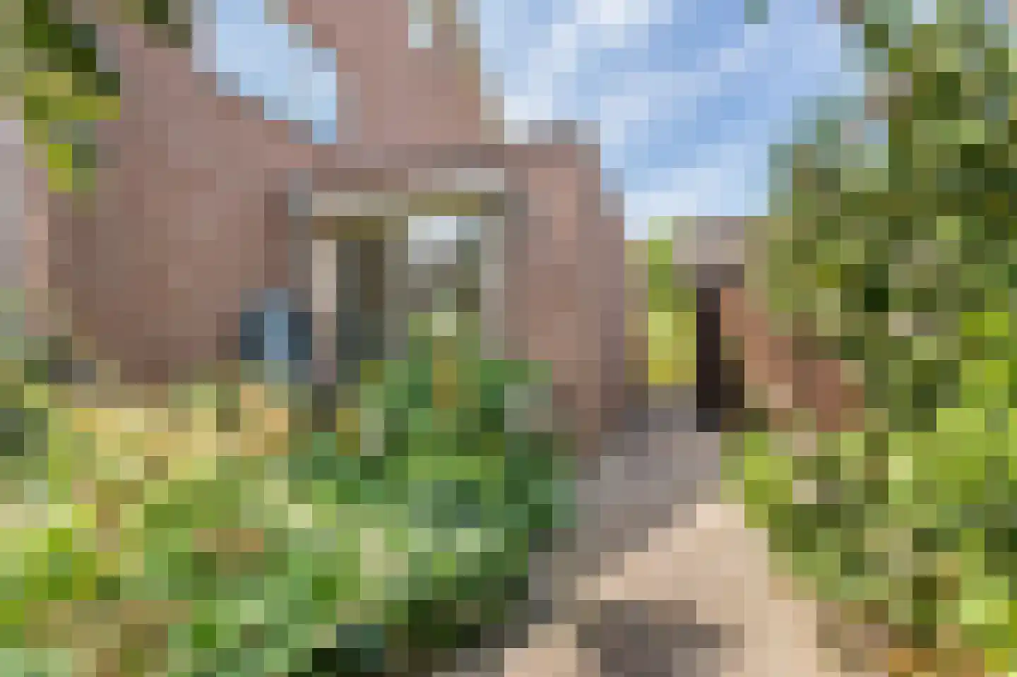 Wilhelminastraat 18 Huissen thumbnail 38