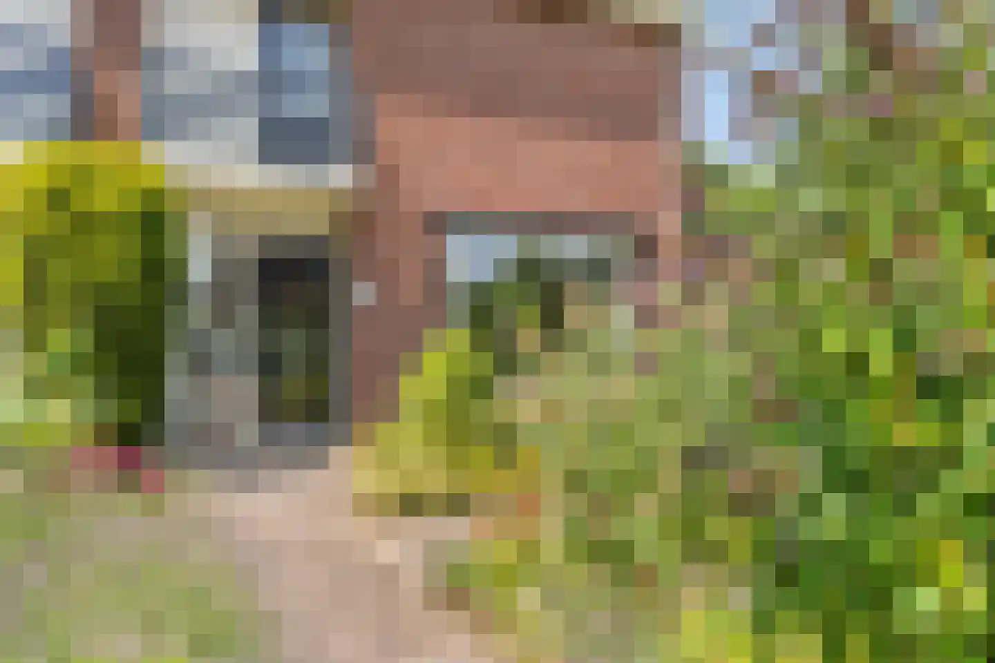 Wilhelminastraat 18 Huissen thumbnail 4