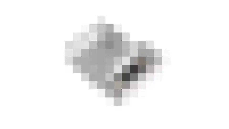 Wilhelminastraat 18 Huissen thumbnail 51