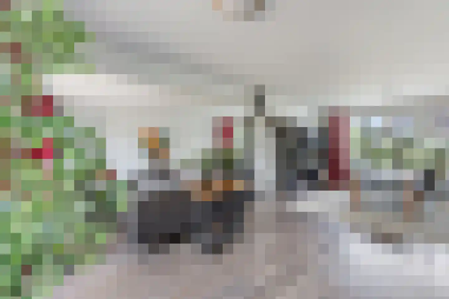 Wilhelminastraat 18 Huissen thumbnail 7