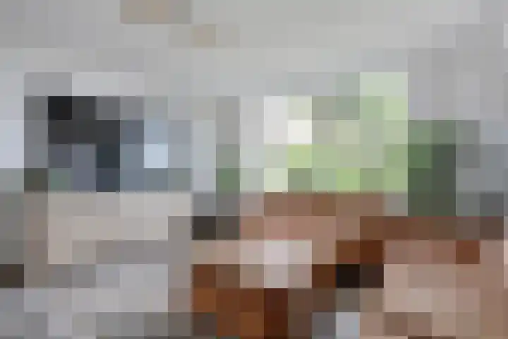 Wilhelminastraat 18 Krabbendijke thumbnail 16